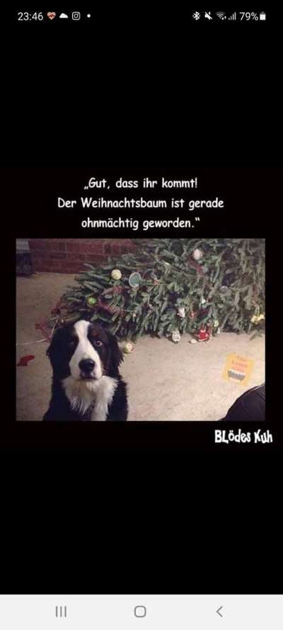 Hier ist der Spaßthread. Zum Schmunzeln und Kaputtlachen-Beitrag-Bild