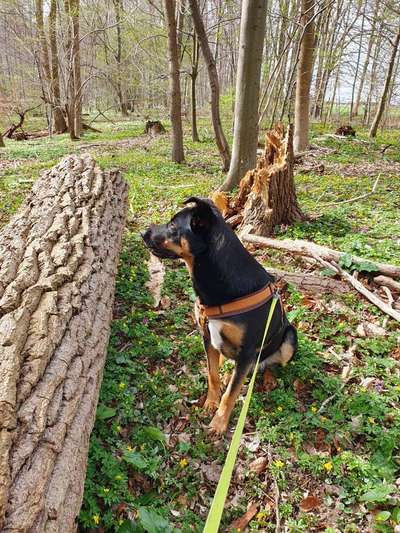 Foto Challenge Nr. 79-Beitrag-Bild