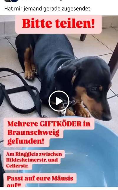 Giftköder-Mehrer Giftköder, Ringgleis-Bild