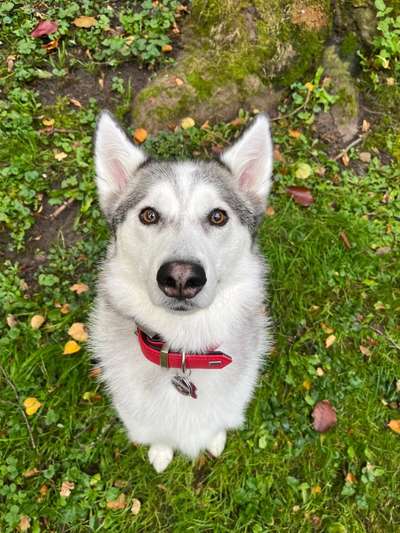 Fotochallange Nr. 57     PORTRÄT.   Beendet!!!!!!!!-Beitrag-Bild