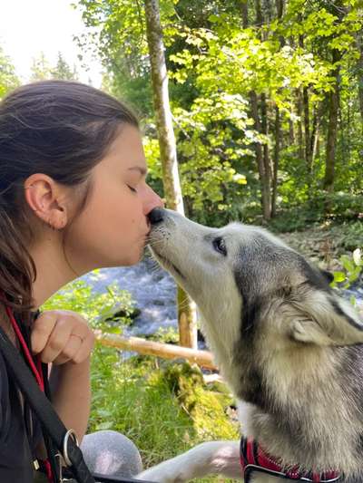 Dogorama Photo Challenge - Selfie Time!-Beitrag-Bild