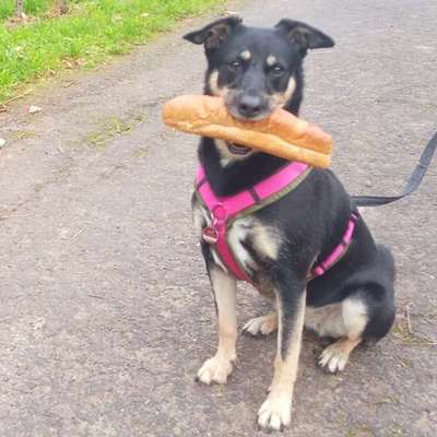 Die besten Gassifunde-Beitrag-Bild