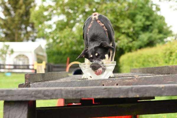 "Die eingefangene Magie des Augenblicks"-Beitrag-Bild