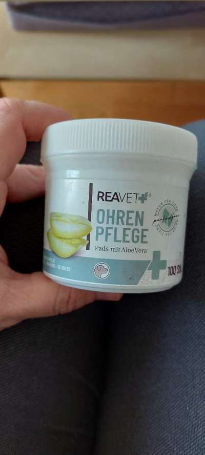 Alles rund um den Pudel-Beitrag-Bild