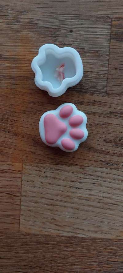 Alles rund um den Pudel-Beitrag-Bild