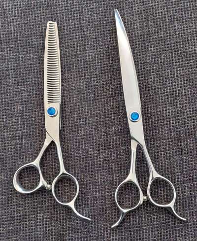 Alles rund um den Pudel-Beitrag-Bild