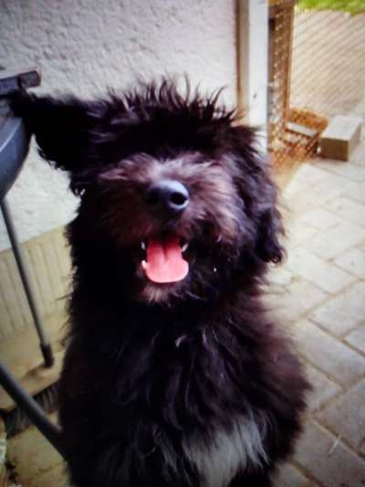 Erstes Bild-Beitrag-Bild