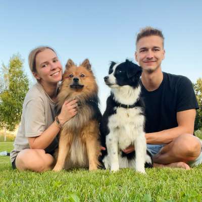 Hundetreffen-Gassi-/Spielrunde-Profilbild