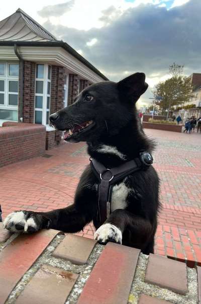 Zeigt eure Portraits-Beitrag-Bild