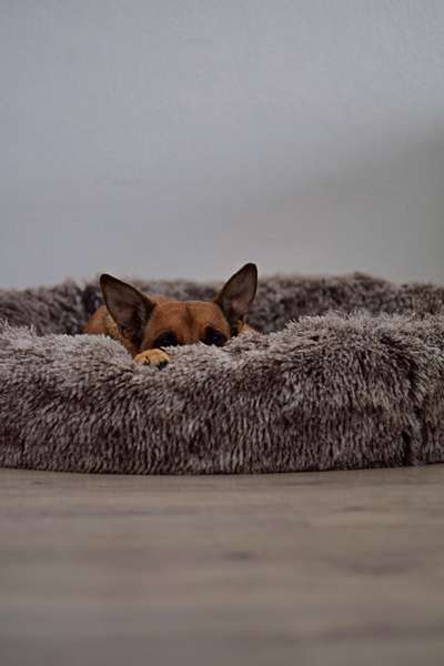 Erfahrung mit Wolkenbett-Beitrag-Bild