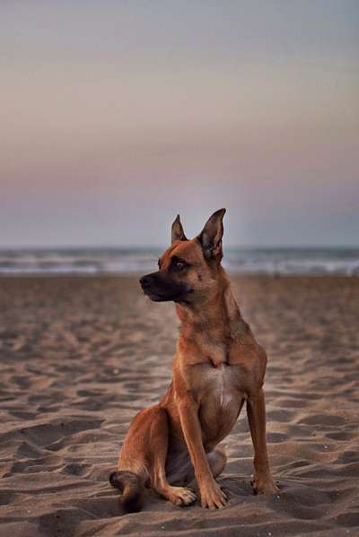 Eure Strandbilder :)-Beitrag-Bild