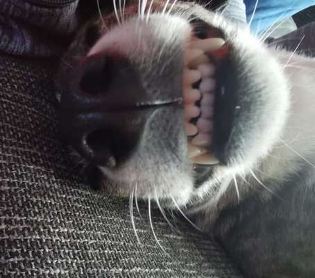 Lieblingsbild-Beitrag-Bild