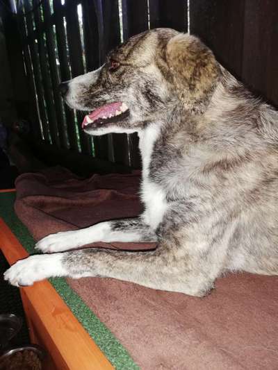 Handyfoto challenge Nr. 13: Waschlappen raus!-Beitrag-Bild