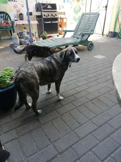 Der Gewichts-Thread-Beitrag-Bild