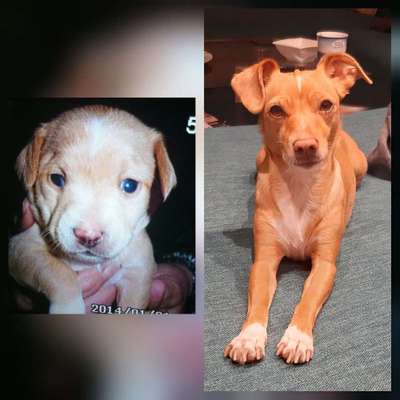 Vorher.... Nachher-Beitrag-Bild