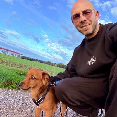 Hundetreffen-Trainingspartner