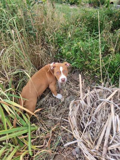 Lieblingsbild-Beitrag-Bild