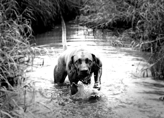 Foto-Challenge 76: Foto in Schwarz-Weiss-Beitrag-Bild