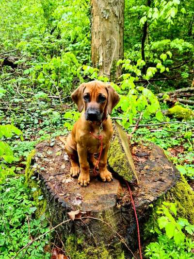 Foto Challenge Nr. 79-Beitrag-Bild