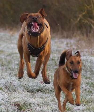 Fotochallenge Nr. 52 „Spring!“-Beitrag-Bild