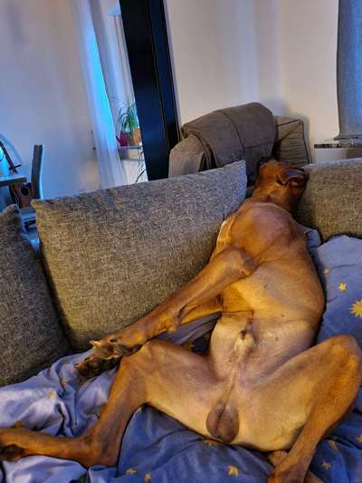 Verrückte Schlafpositionen-Beitrag-Bild