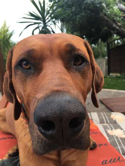 Fotochallange 84-Beitrag-Bild