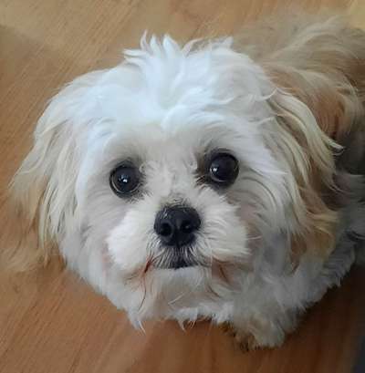 Fotochallange Nr. 57     PORTRÄT.   Beendet!!!!!!!!-Beitrag-Bild