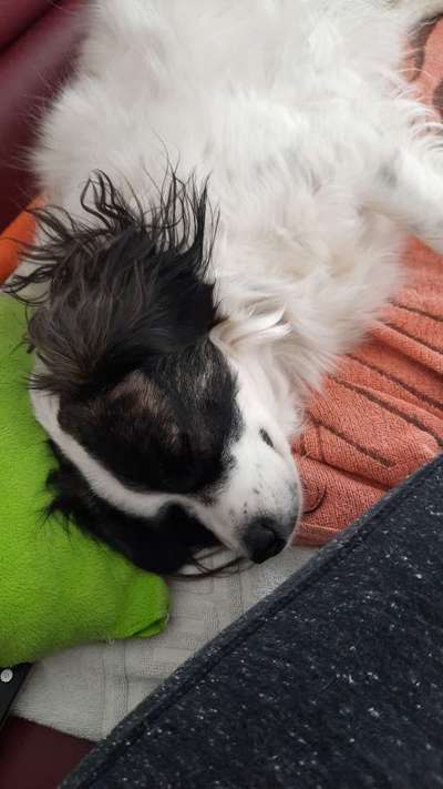 Gibt es Namens-Verwandte-Beitrag-Bild