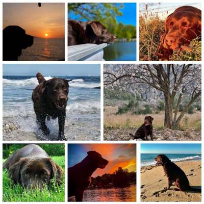 Zeigt eure schönsten Sommerbilder-Beitrag-Bild