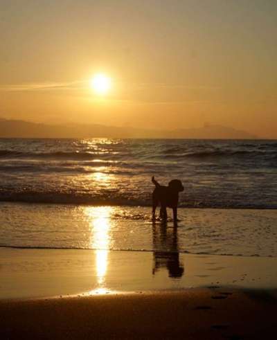 9.Farben-Fotochallenge            Gelb-Beitrag-Bild