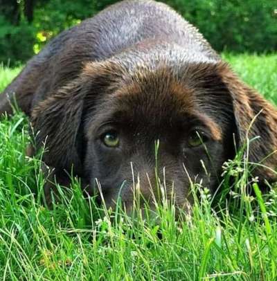 Farben Fotochallenge Thema ,,Grün"-Beitrag-Bild