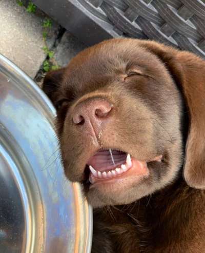 Foto Challenge Nr. 134-Beitrag-Bild