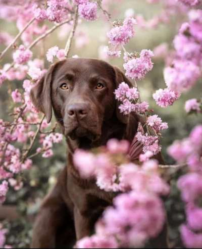 17. Farben Foto Challenge: Pastellfarben-Beitrag-Bild