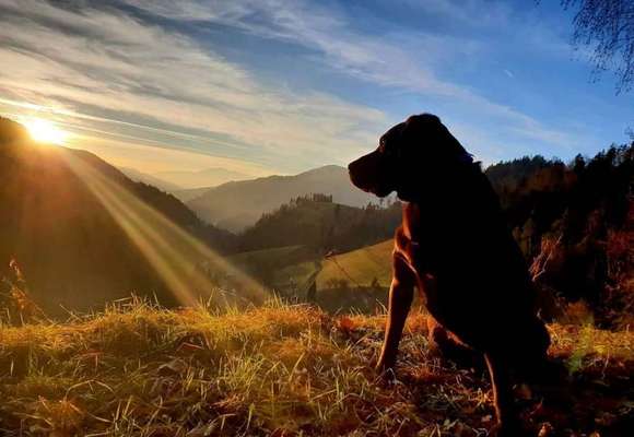 140. Foto Challenge - schattiges Plätzchen-Beitrag-Bild