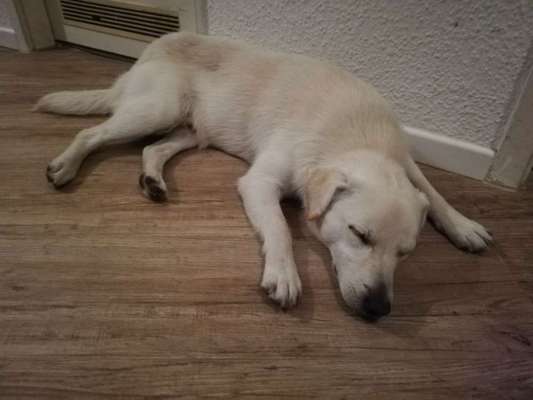 Schlafposition-Beitrag-Bild