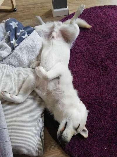 Schlafposition-Beitrag-Bild