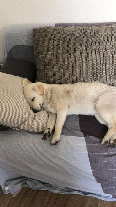 Schlafposition-Beitrag-Bild