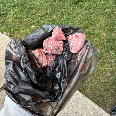 Giftköder-Vermutlich Giftköder-Bild