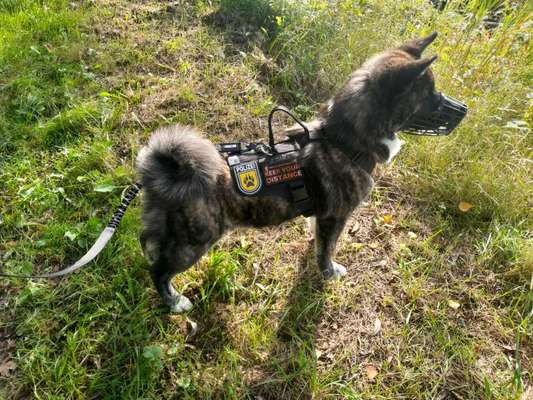 Was hat euch heute gefreut?-Beitrag-Bild