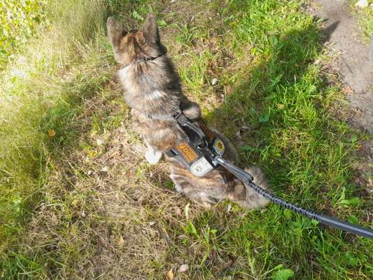 Was hat euch heute gefreut?-Beitrag-Bild