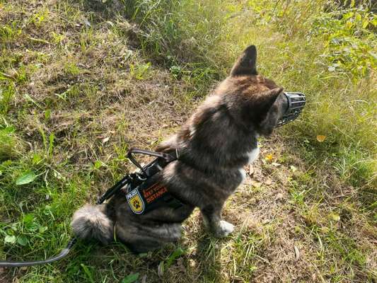 Was hat euch heute gefreut?-Beitrag-Bild