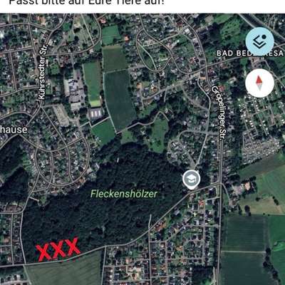 Giftköder-Giftköder-Bild