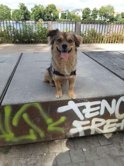 Habt ihr auch einen Balu?-Beitrag-Bild