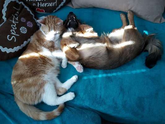 Die unbequemsten und lustigsten Schlafpositionen-Beitrag-Bild