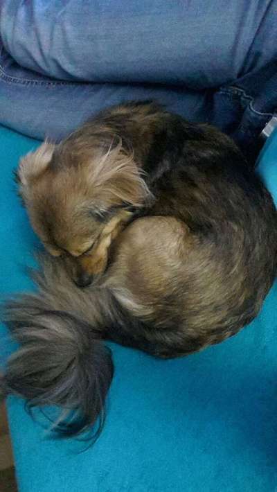 Die unbequemsten und lustigsten Schlafpositionen-Beitrag-Bild