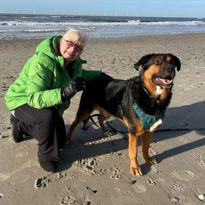 Kerstin's Profilbild