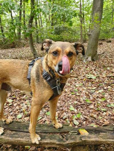 Handyfoto challenge Nr. 13: Waschlappen raus!-Beitrag-Bild