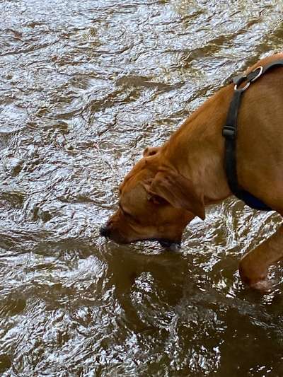 Eure schönsten Fotos mit Wasser-Beitrag-Bild