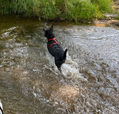 Eure schönsten Fotos mit Wasser-Beitrag-Bild