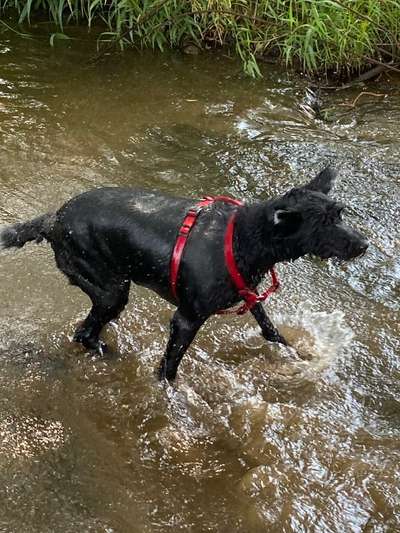 Eure schönsten Fotos mit Wasser-Beitrag-Bild